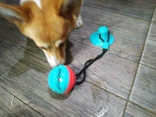 Pet Dog Toys Silicon Suction Cup Tug dog toy Dogs Push Ball Toy Pet Tooth Cleaning Dog