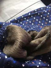 Bear Leader-Leggings delgados para niña, pantalones para niña, traje de moda para niña, ropa para niña, leggings de dibujos animados para primavera y verano