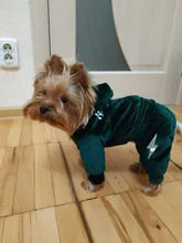 Coat Jumpsuit Clothing Puppy-Fleece Hoodie Apparel Pet-Dog Winter New Warm Velvet