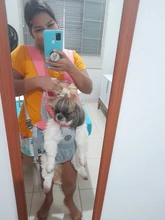 Backpack Carrier Cat-Accessories Front-Chest-Holder Chihuahua Puppy Large-Bags Pet-Dog