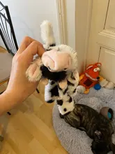 Juguetes de peluche divertidos para mascotas, zorro, León, conejo suave, pequeño, mediano, masticable para perros, accesorios para mascotas