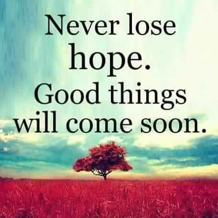 27750854_2088270374533384_8306168027317738484_n