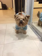 Hoodie Coat Outfit Warm-Dress Girl Dog Winter Princess New Floral 6-Sizes Bubble-Skirt