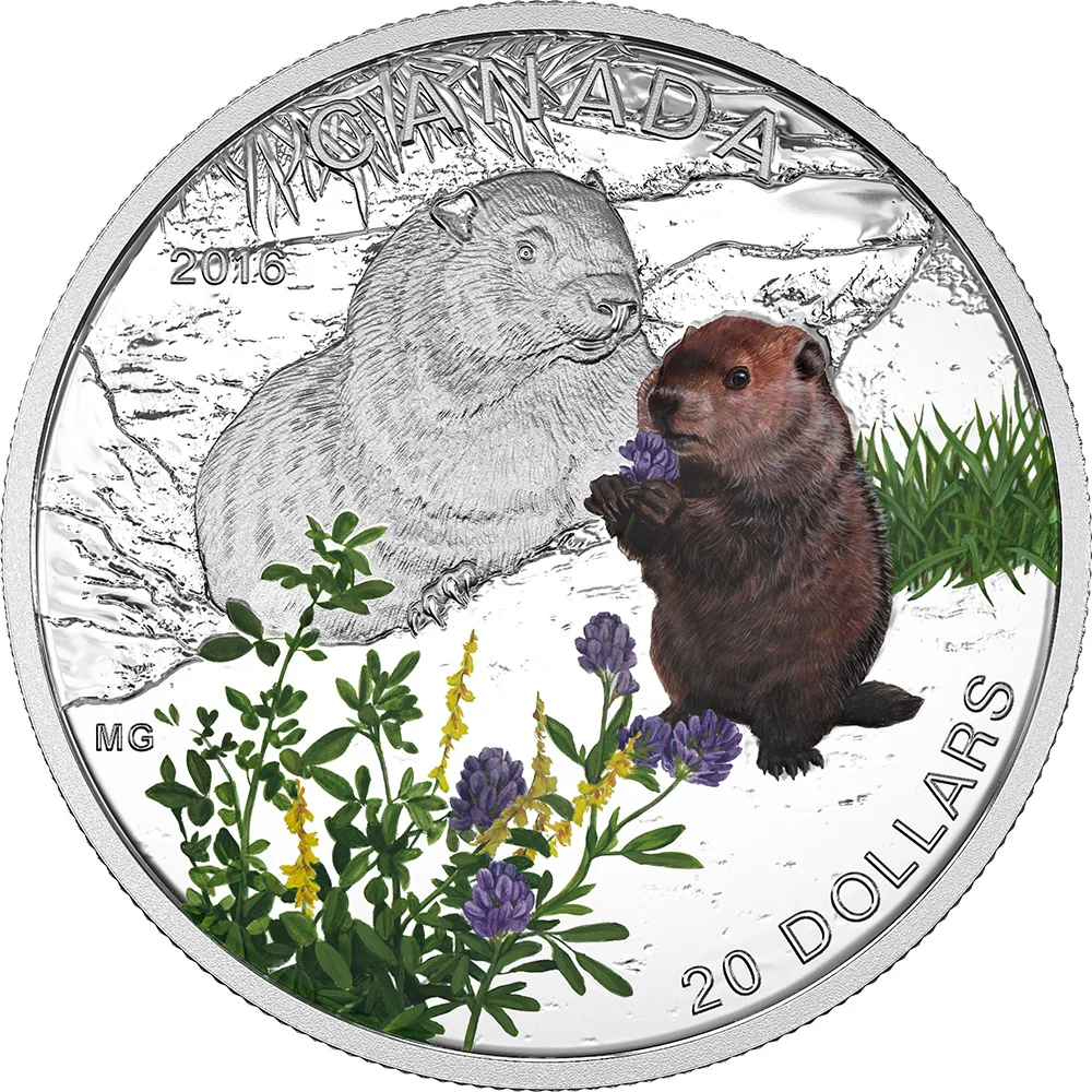 Деревянные животные детские серебряные монеты 20$ Канада