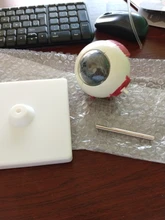 Modelo anatomico de pvc para Educación Médica, 3 veces agrandados