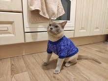 Cat Clothes Winter Warm Pet Clothing For Cats Fashion Outfits Coats Chihuahua Dog Clothes