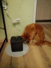 2L Automatic Pet Cat Water Fountain Filter Dispenser Feeder Smart Drinker For Cats Water