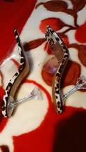 MAIERNISI-Sandalias con estampado de leopardo para mujer, zapatos de tacón alto con punta abierta, zapatillas plexiglás transparente, sandalias transparentes