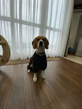 HOOPET Large Coat Down-Jacket Winter New Warm Autumn for Dogs Dog-Prints Overalls Leisure-Style