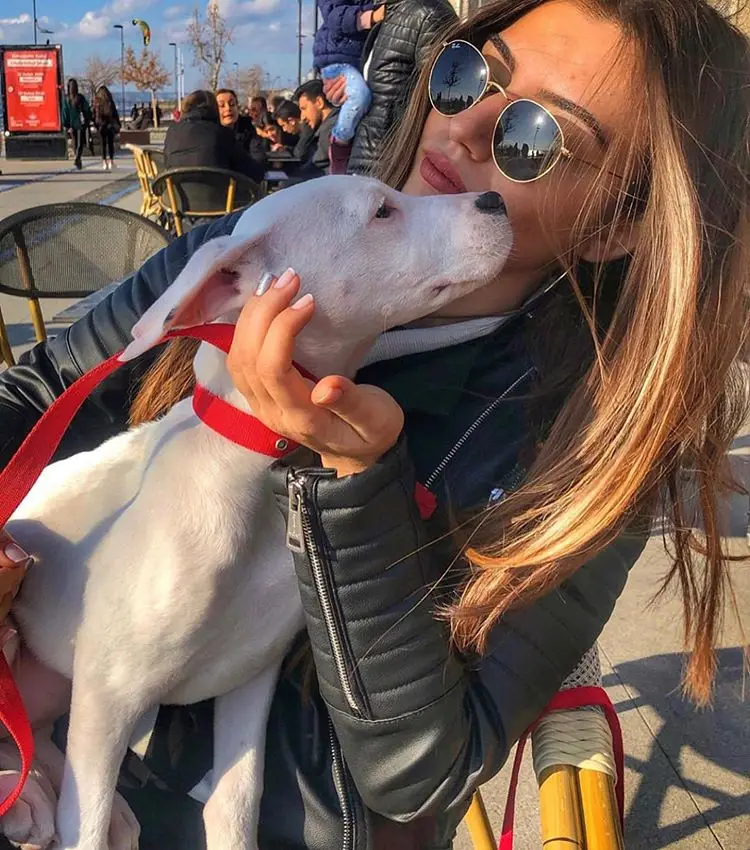 82563026_133141927836741_8788155024065321182_n