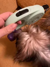 Kopek tasma-correa retráctil automática para perros pequeños, accesorio para caminar, correr, nailon, 33 libras