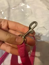 Correa de nailon para perros y gatos pequeños, Collar de gatito colorido de 1,5x120cm, correa de plomo para correr, entrenamiento y caminar