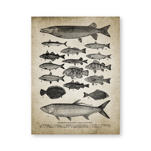 Рыбалка стены Искусство Холст Плакаты принты пород рыб живопись пресноводная рыба настенные картины для украшения дома комнаты - Цвет: PH6537
