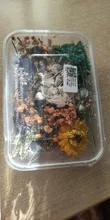 1 caja de hojas de flores prensadas reales, resina de margaritas secas, calcomanías de belleza para uñas, moldes de epoxi, embellecedores para fabricación de joyas
