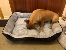 Pet-Bed House Kennel-Mat Puppy Washable Small Warm Large Dog Soft Cotton Medium Bone