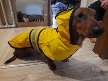 Jumpsuit Hoodies Pet-Coat Rain-Jacket Reflective French-Bulldog-S-2xl Waterproof Medium