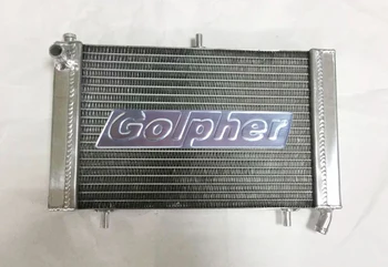 

Custom Radiator for RS125 - Core 50mm