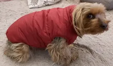 Abrigo de invierno para mascotas, ropa cálida para perros pequeños, abrigo de Navidad para perros grandes, chihuahua
