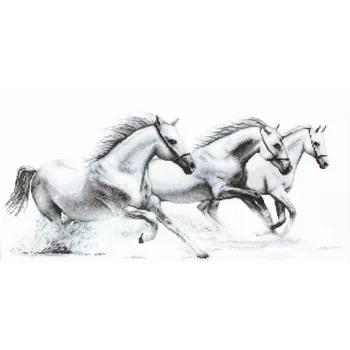 

"Embroidery kit", "floss embroidery kit", "cross stitch", "counted cross", "Luca-S", "counted cross stitching"