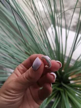 Pendientes de una sola oreja con Clip, estrella, corazón, remache, arcoíris, CZ, Color dorado y plateado, joyería, Aretes no perforados