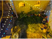 Garlands-Light Peach-Flower Led-String Christmas-Decor Solar-Lamp Garden Outdoor 5m 6V