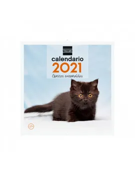 

Annual calendar CAL. Wall 30X30 2021 kittens +