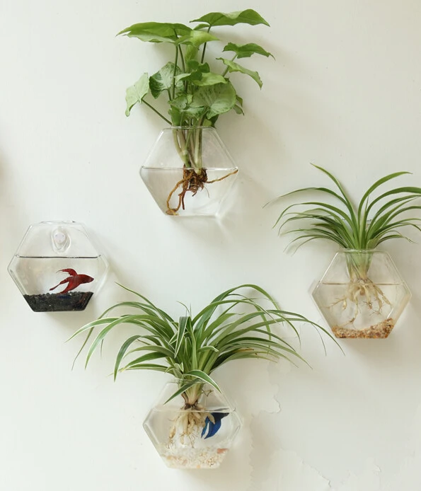 glass vase hexago vase home decoration vases decoratives vaso geometric vase flower vase home decoration vaso de flor home decor - Home Decor Vases glass vase hexago vase home decoration vases decoratives vaso geometric vase flower vase home decoration vaso de flor home decor - Home Decor Vases